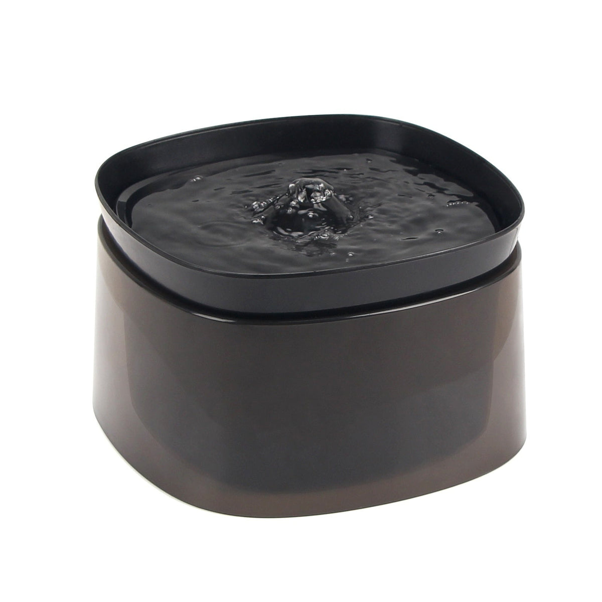 Fontaine à eau pour chat - coloris noir