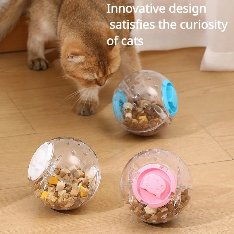 Chien jouant avec la balle distributrice