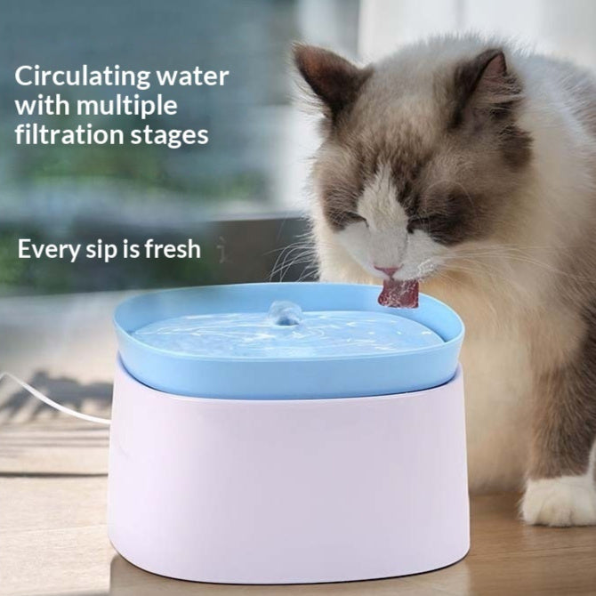 Fontaine à eau filtrante pour chat - vue d'ensemble