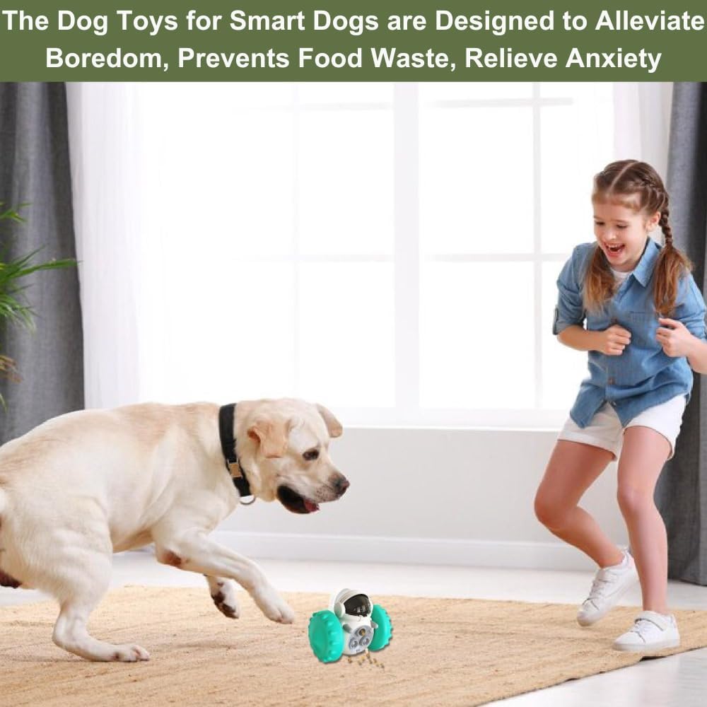 Chat jouant avec le distributeur de friandises compact